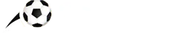 金年会